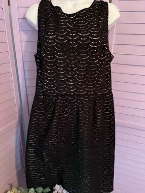LOFT Black Sleeveless Eyelet A-Line Dress with Scallop Pattern